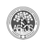 abos_logo-removebg-previeew-modified